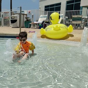 Meet your Posher, Lizzie